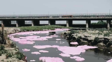 दिल्ली और केंद्र सरकार यमुना सफाई के नाम पर केवल दिखावा कर रही, कौन सी रिपोर्ट दिखाकर फूटा AAP का गुस्सा