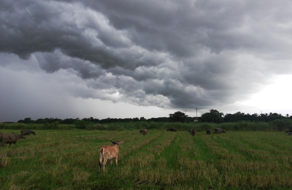 1710740039-heavy-rain-and-hail-threaten-madhya-pradesh-and-chhattisgarh-on-18-march-2024