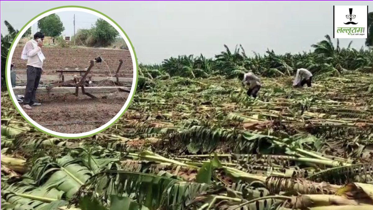 बड़वानी में आंधी-बारिश ने मचाई तबाही, 50 एकड़ में खड़ी केले की फसल बर्बाद, 10 से ज्यादा बिजली के खंभे गिरे    