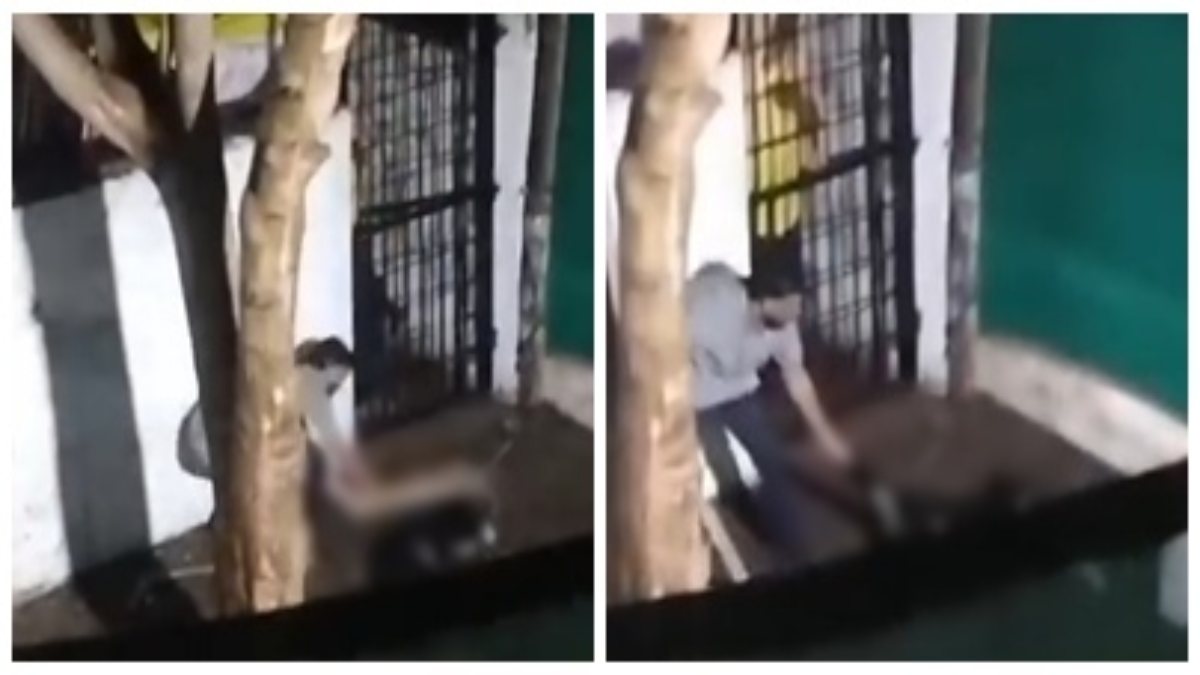 क्रूरता की हदें पार: स्ट्रीट डॉग पर पहले बरसाए डंडे, मन नहीं भरा तो बोरी में भरकर लगा दी आग, मंजर देख दहल उठेगा दिल 
