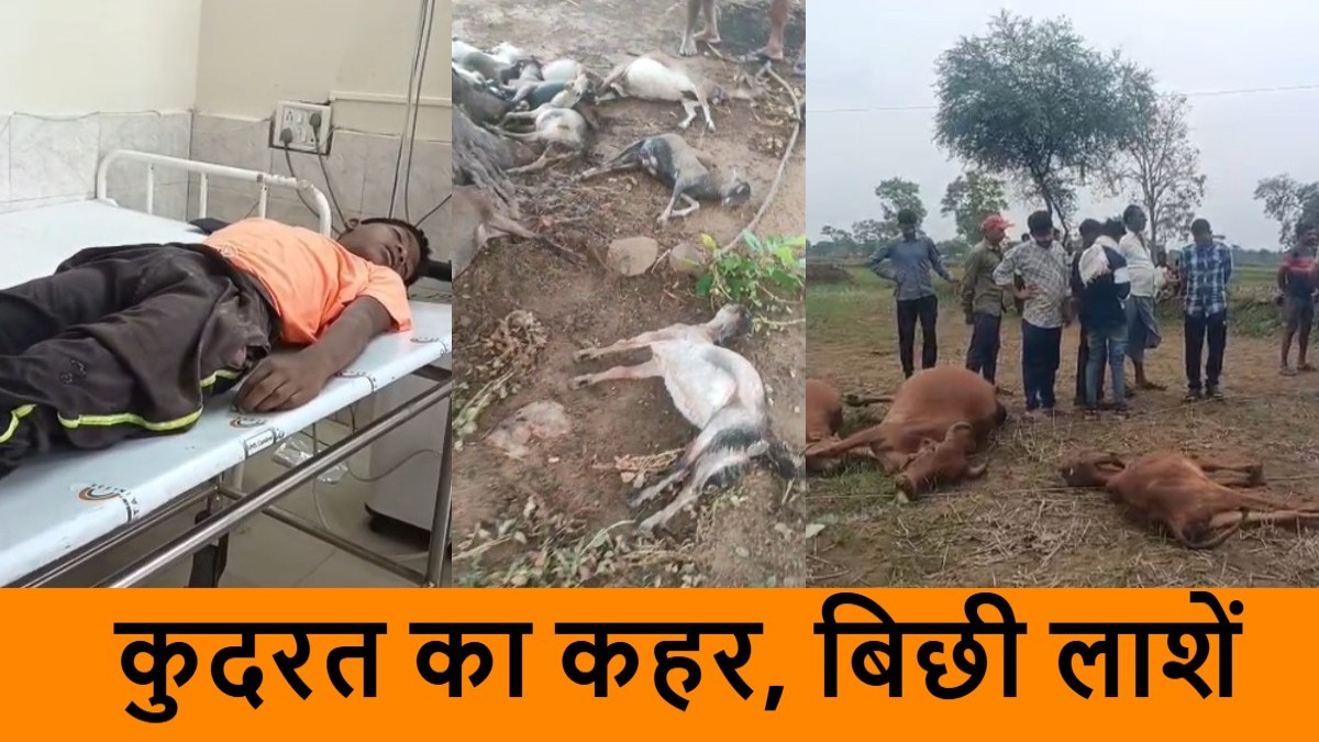 कुदरत का कहर : आकाशीय बिजली गिरने से एक बालक और 15 बकरियों की मौत, इधर विद्युत विभाग की लापरवाही से 7 मवेशियों ने तोड़ा दम