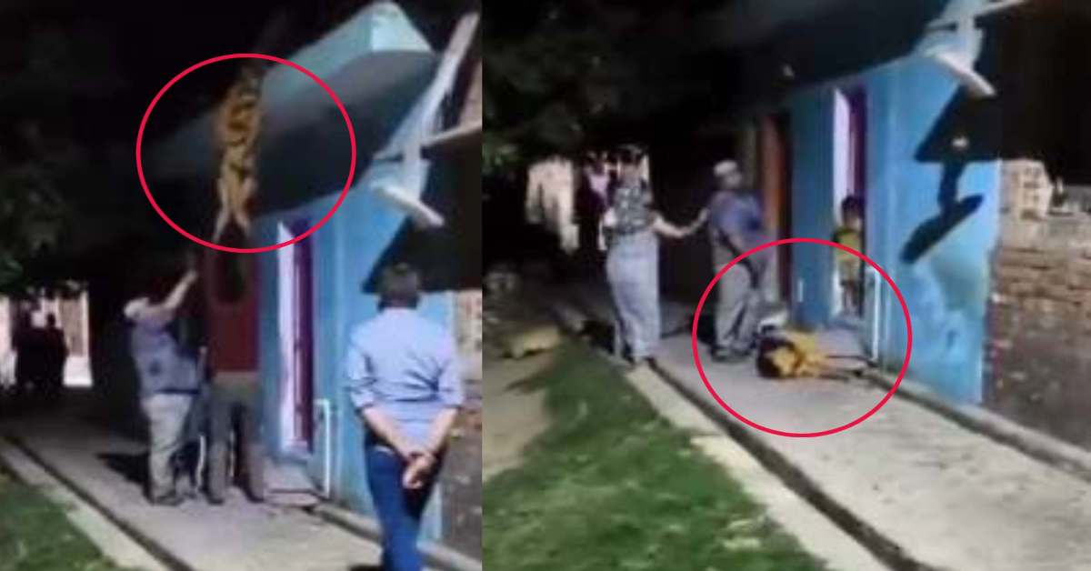 ‘देवता’ बना दानवः पति ने पत्नी को जमकर पीटा, छत से नीचे उल्टा टांगा, हैवानियत का VIDEO देख दहल उठेगा दिल