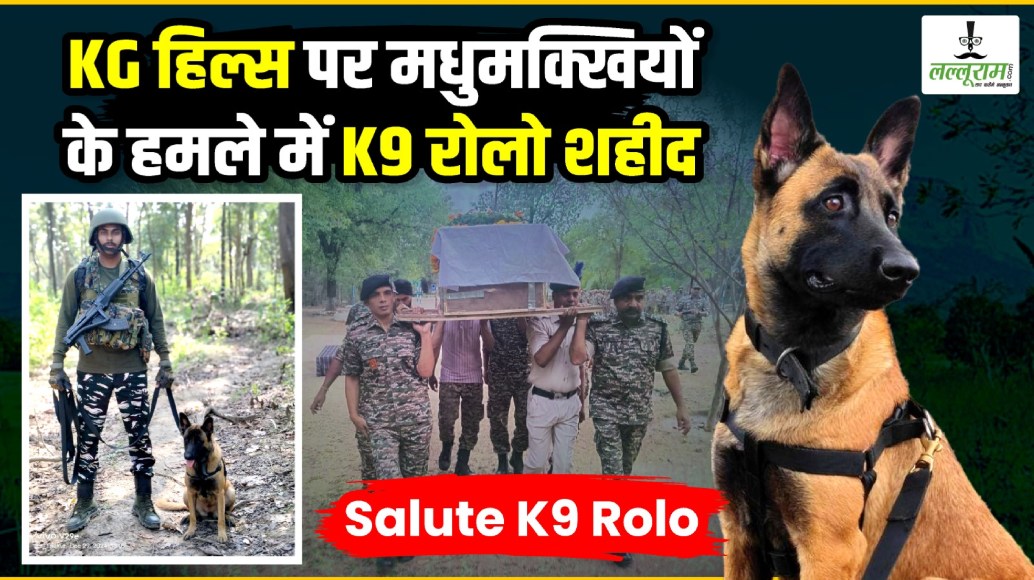 Operation Black Forest के दौरान K9 रोलो पर मधुमक्खियों ने किया हमला, इलाज से पहले ही तोड़ा दम, गार्ड ऑफ ऑनर के साथ दी गई अंतिम विदाई 