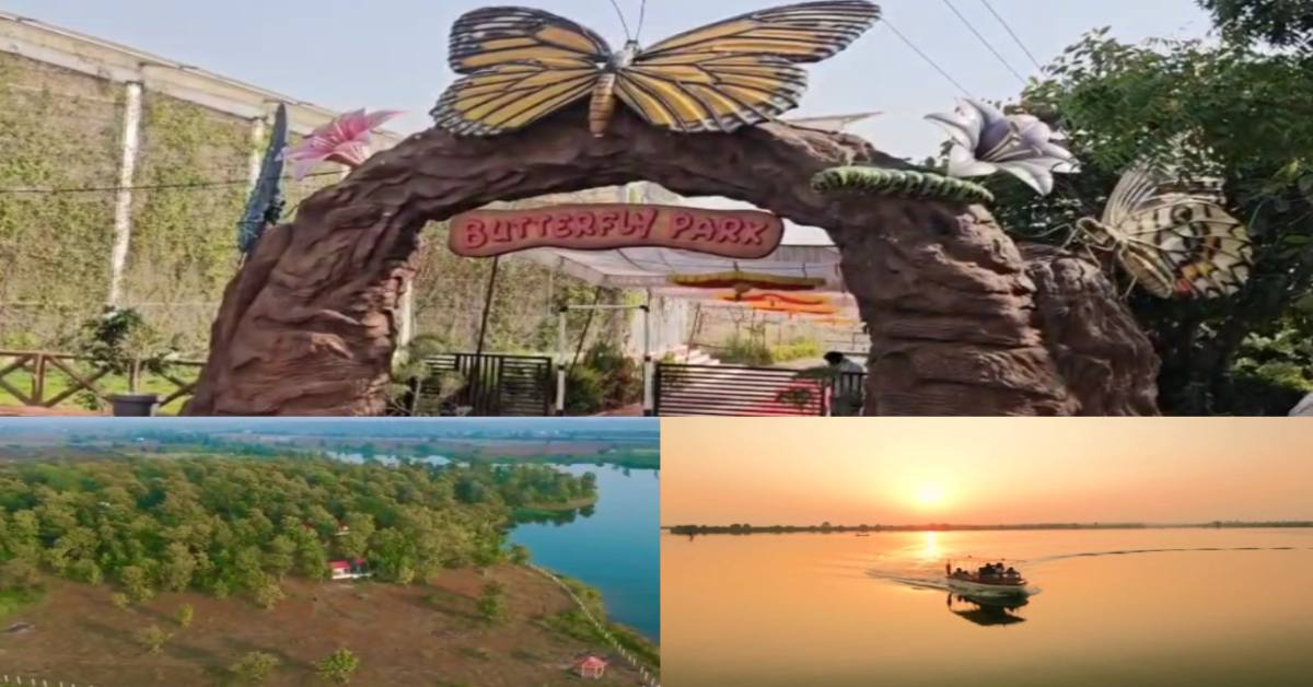 खंडवा में तितली पार्क तैयार: जंगल के बीच बने हट और टेंट, बोटिंग का भी उठा सकेंगे लुत्फ, यहां करें बुकिंग