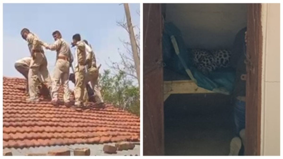 बीजेपी नेता के घर आ धमका खूंखार तेंदुआ, बच्चे की पीठ पर मारा पंजा, दहशत में आए लोग