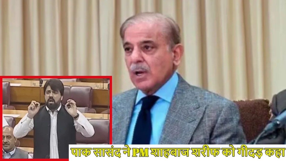 PAK सांसद शाहिद अहमद ने PM शहबाज को गीदड़ कहा, संसद में कहा- ‘भारत ने घर में घुसकर मारा तो बुजदिल छुप….,’ देखें वीडियो