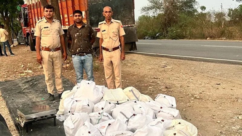 Rajasthan News: उदयपुर में 1 करोड़ रुपये का गांजा पकड़ा गया, विशाखापट्टनम से ट्रक में लाई जा रही थी भारी खेप