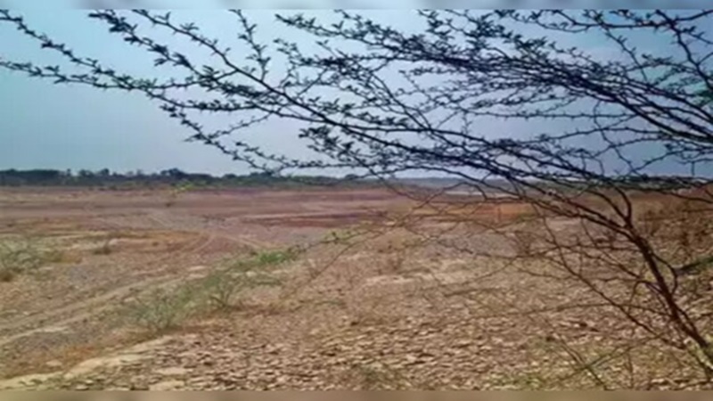 Rajasthan News: राजस्थान में जमीन घोटाला; 2 करोड़ की सरकारी जमीन कौड़ियों के भाव बेची गई, पहले NRI और अब कांग्रेसी नेता तक पहुंचा मामला