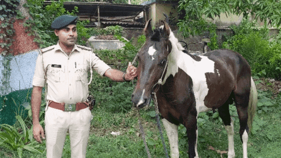 Bihar News: यूपी से घोड़ा लेकर बिहार आ रहा था युवक, पुलिस के देखते ही हो गया फरार, जानें पूरा मामला
