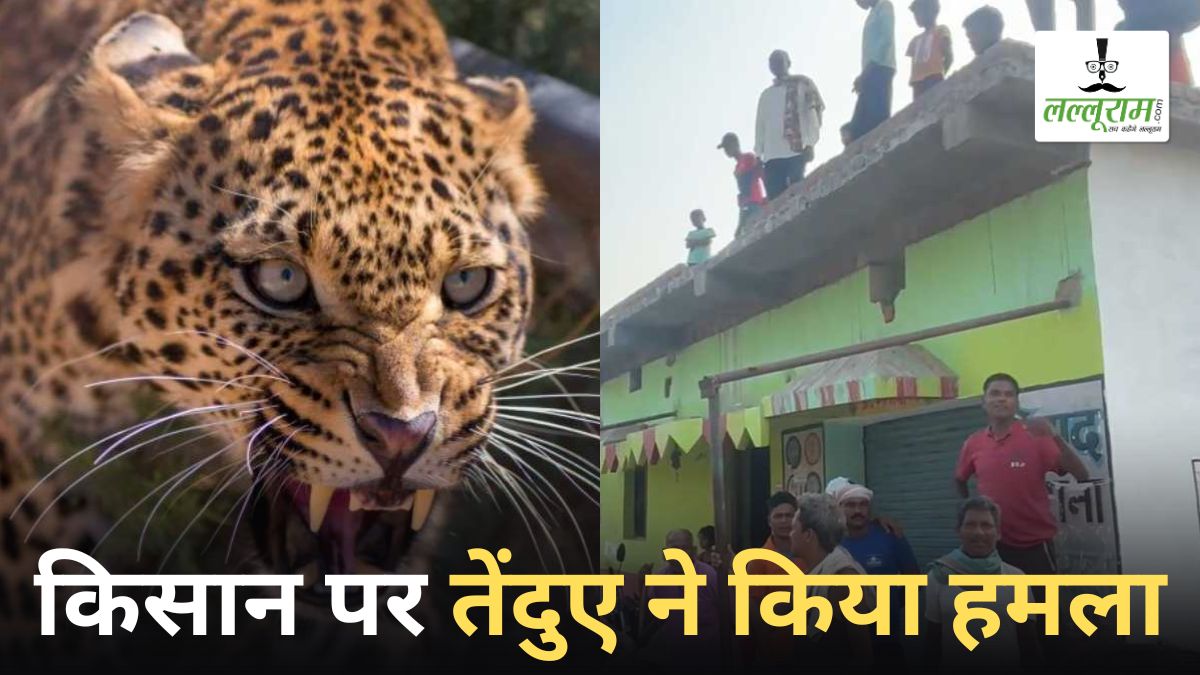 खेत गए किसान पर तेंदुए ने किया हमला: गंभीर हालत में अस्तपताल में कराया गया भर्ती, ग्रामीणों में दहशत का माहौल
