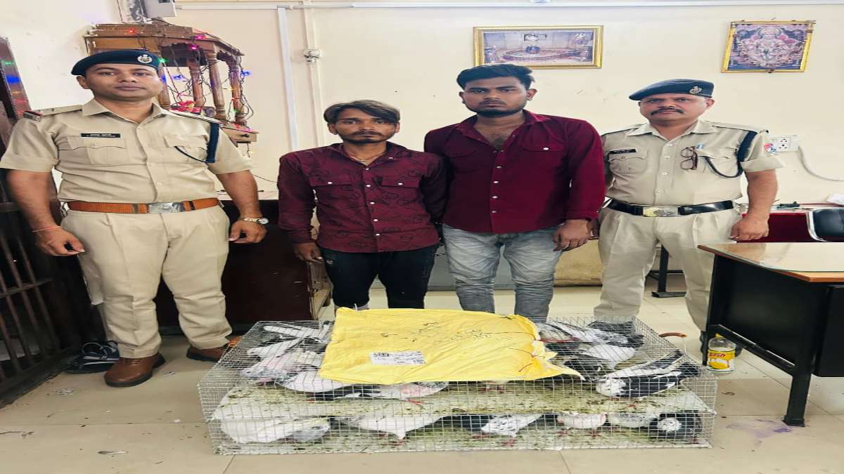 रेलवे स्टेशन से कबूतर की चोरी: 2 युवक को RPF ने किया गिरफ्तार, कबूतरों से भरे पार्सल भी जब्त