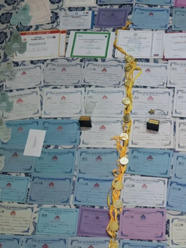 50 सर्टिफिकेट और 10 मेडल! फिर भी क्यों नहीं मिली इंटर्नशिप?