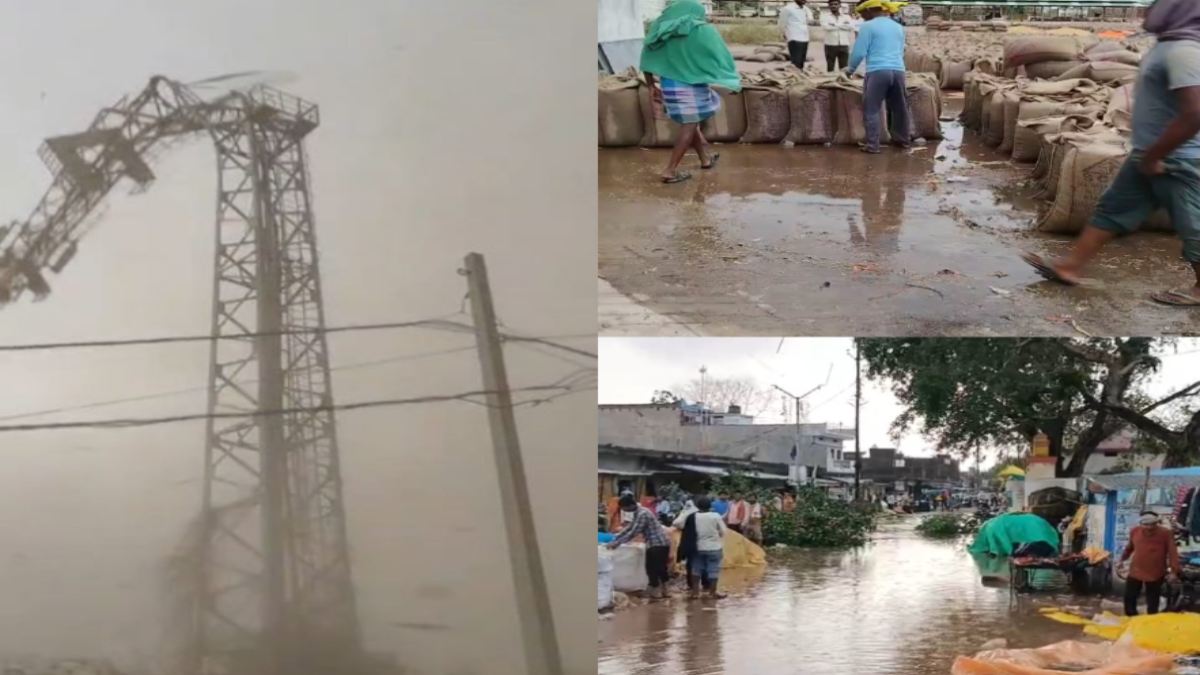 MP में आंधी-तूफान ने मचाई तबाही: छतरपुर में BSNL टावर गिरा, टीकमगढ़ में घर की टीन शेड-दुकानों के होर्डिंग उड़े, किसानों का हजारों क्विंटल गेहूं खराब