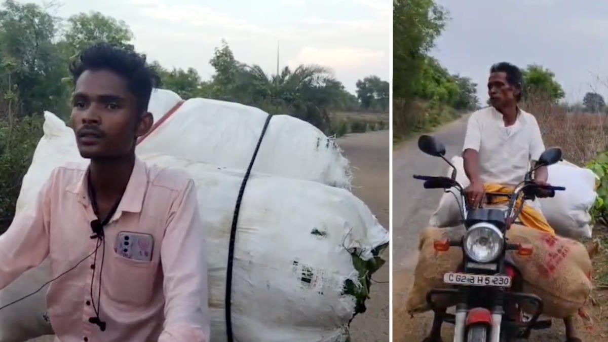 ओडिशा से हो रही है हरे सोने की तस्करी, सीमावर्ती जिले में खपाने में लगे बिचौलिए, राजनीतिक दबाव के आगे वन विभाग भी बेबस…
