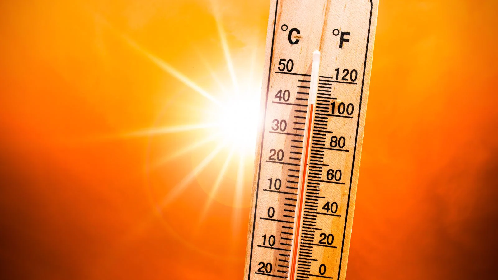 Rajasthan Weather: हीट वेव का कहर! बूंदी में 70 वर्षीय बुजुर्ग महिला की संदिग्ध गर्मी से मौत, हीट स्ट्रोक की आशंका