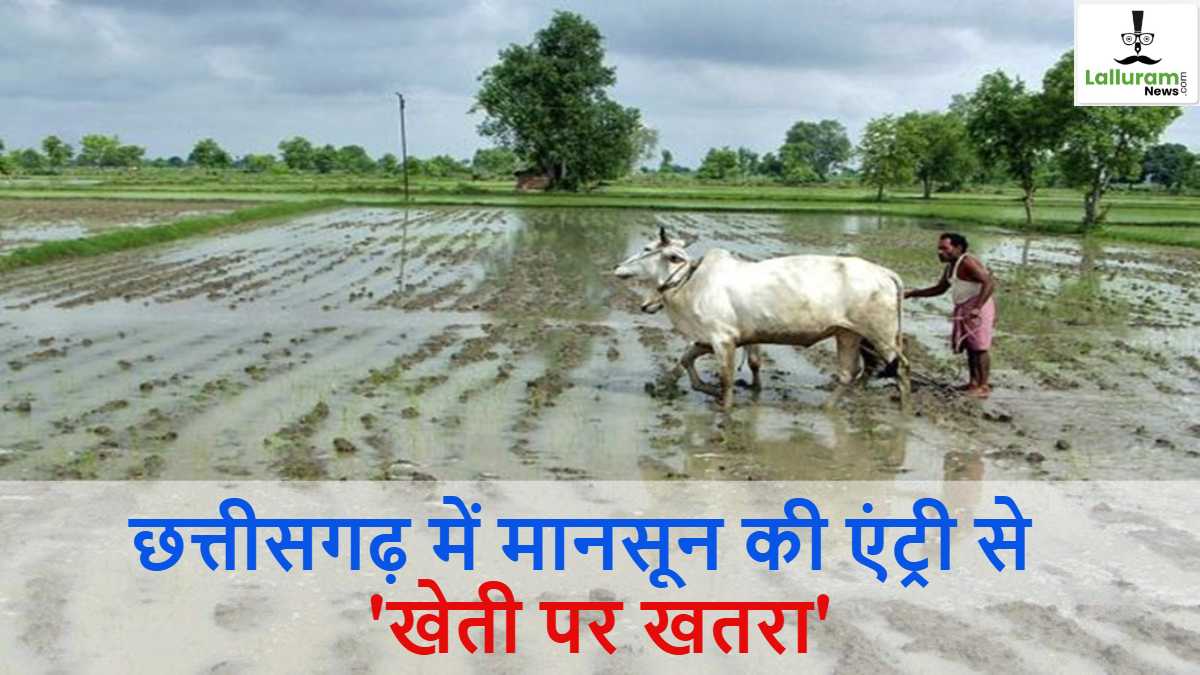 छत्तीसगढ़ में असमय मानसून की एंट्री से ‘खेती पर खतरा’, प्रभावहीन नौतपा और DAP की कमी से बढ़ी किसानों की चिंता