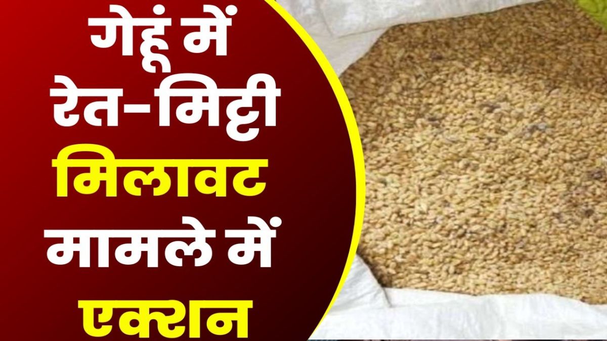 मिलावट के खिलाफ कलेक्टर की बड़ी कार्रवाईः वेयर हाउस के अंदर चल रहा था गेहूं में मिलावट का खेल, मिट्टी, पत्थर और कंकड़ की सैकड़ों बोरियां बरामद