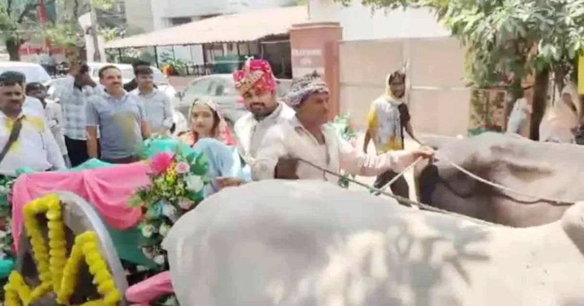 वाह गुरू! गजबे कर दिया… दुल्हन को लेने बैलगाड़ी से पहुंचा इंजीनियर दूल्हा, आधुनिक जमाने में दिखा परंपरा का अद्भुत नजारा, VIDEO वायरल