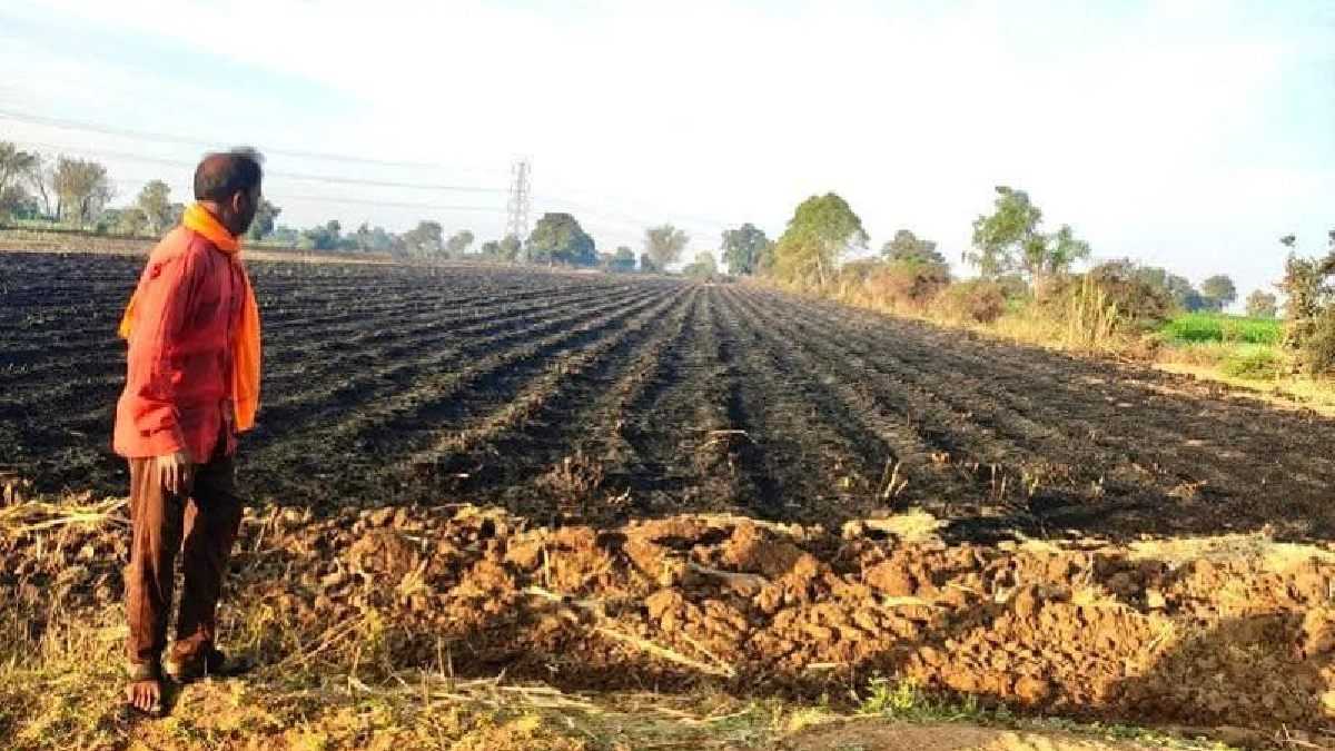 खेतों में पराली जलाने से मिट्टी की उर्वरता हुई कमः मिट्टी के सैंपल जांच के बाद भारतीय कृषि अनुसंधान का निष्कर्ष, पैदावार पर पड़ेगा विपरीत असर