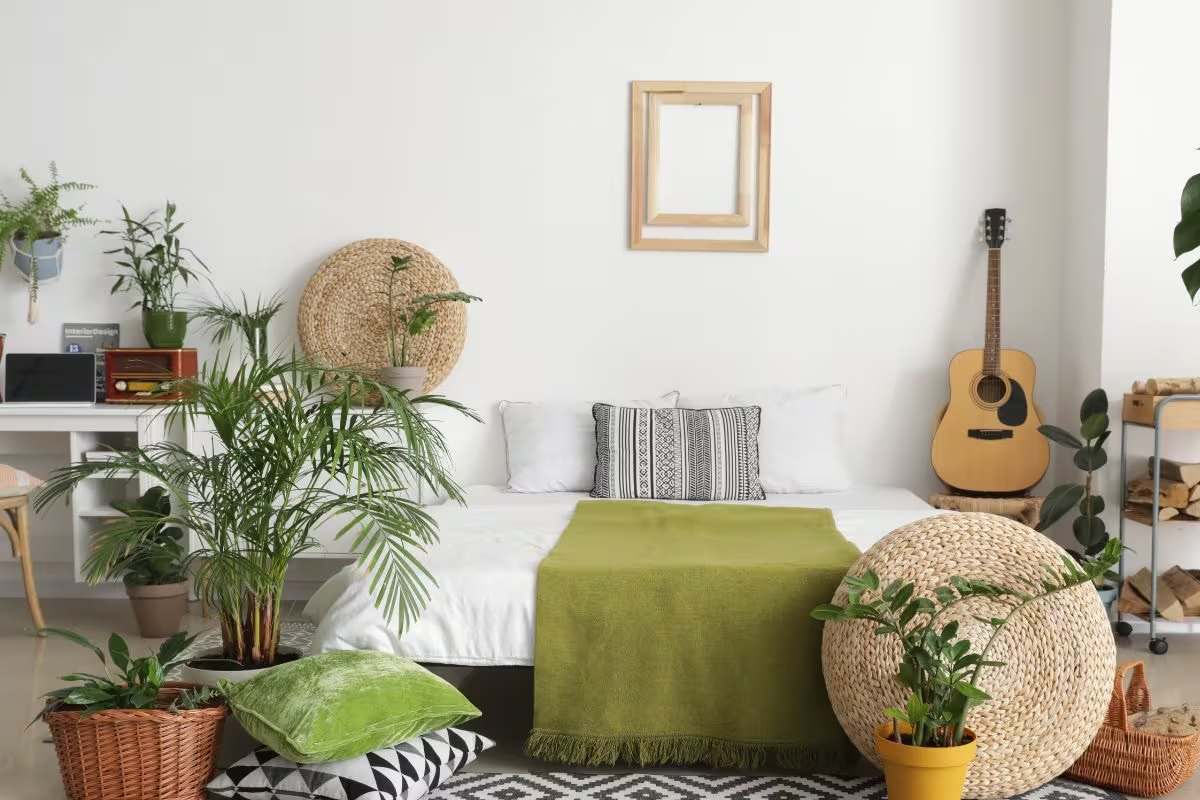 Bedroom Plants For Stress Relief: बेहतर नींद और कम तनाव के लिए अपने बेडरूम में लगाएं ये 5 पौधे, मिलेंगे अद्भुत फायदे…
