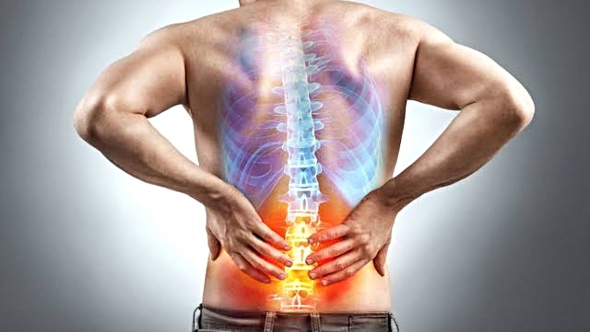 Home Remedies For Back Pain Relief: कमर दर्द से पाएं छुटकारा, अपनाएं ये आसान घरेलू उपाय…