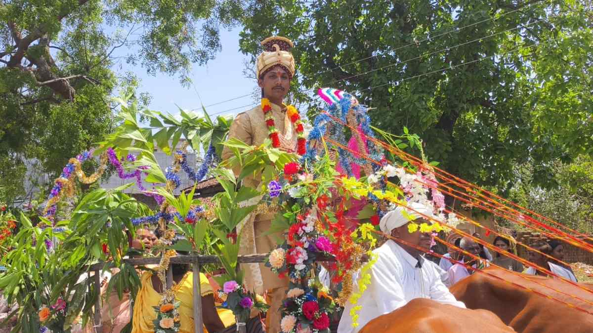 छत्तीसगढ़ में बैलगाड़ी से निकली बस चालक की बारात, देखें VIDEO…