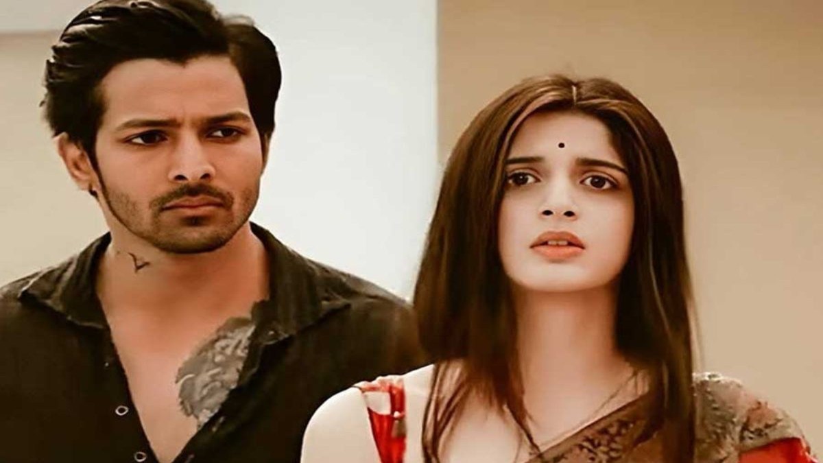 Harshvardhan Rane ने किया बड़ा ऐलान, पोस्ट शेयर कर लिखा- Mawra Hocane के साथ फिर से काम …