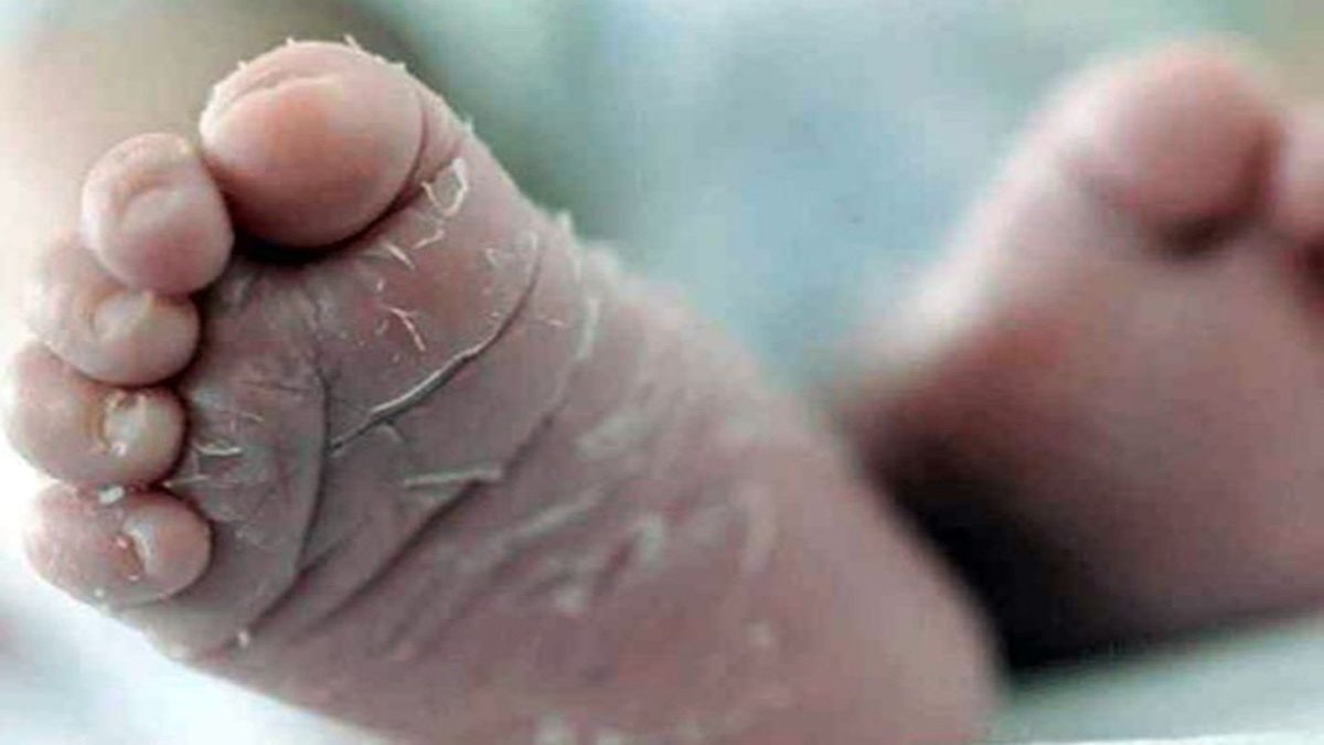 खेत से पॉलीथिन में मिला नवजात का शव, जांच में जुटी पुलिस…