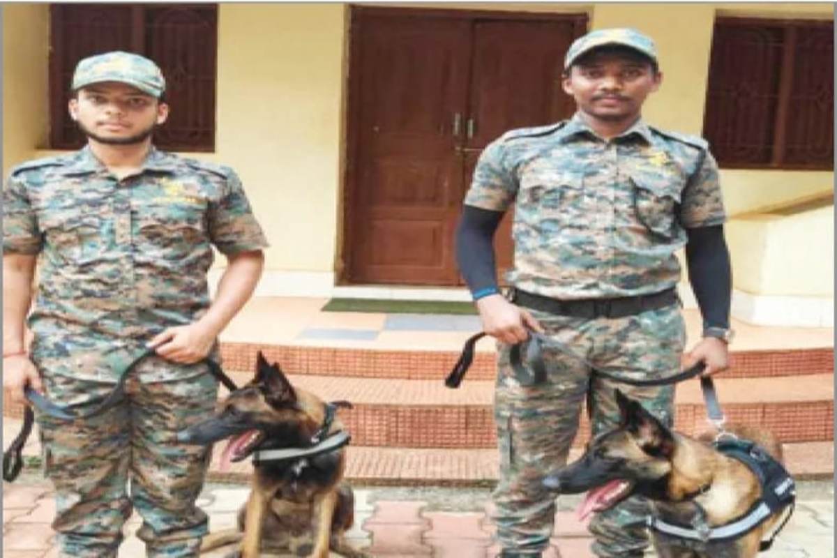 सिमिलिपाल टाइगर रिज़र्व की सुरक्षा में तैनात हुए प्रशिक्षित 2 स्निफर डॉग्स, अवैध शिकार पर रखेंगे नजर…