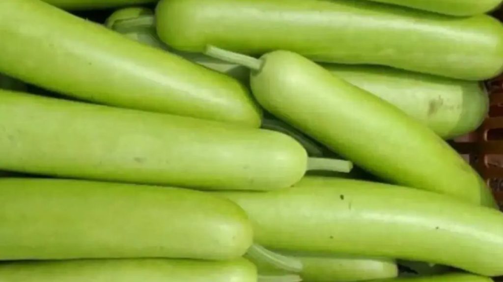 How To Choose Fresh Bottle Gourd