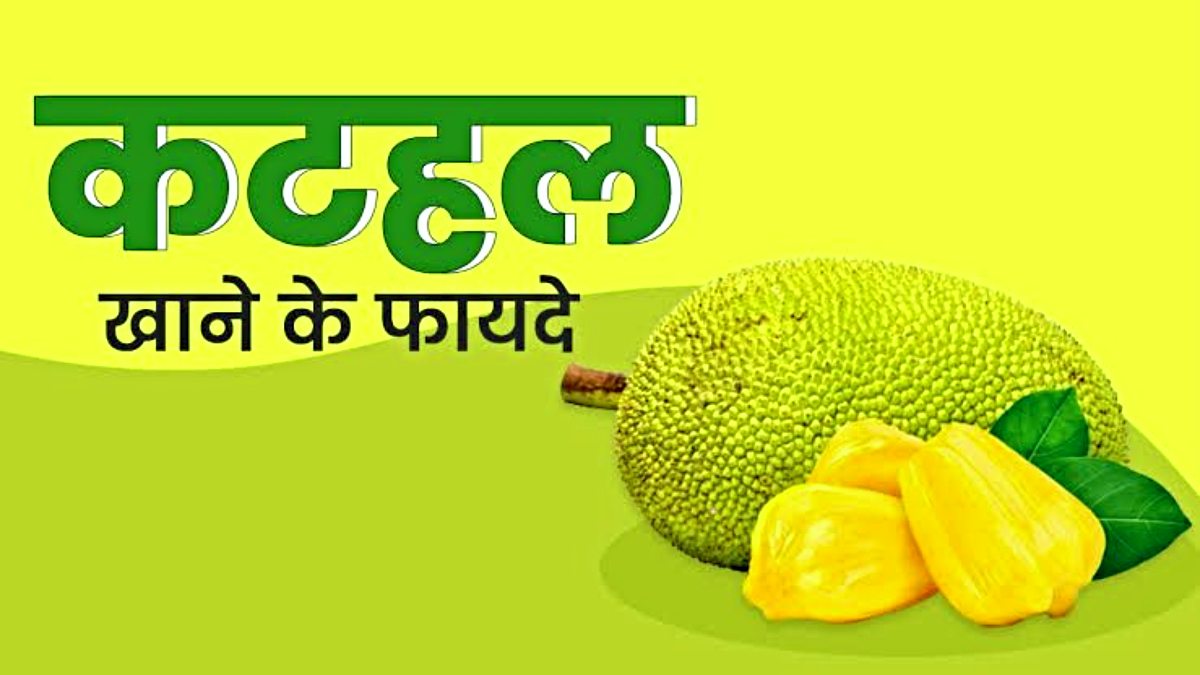 Jackfruit Benefits: गर्मी में जरूर खाना चाहिए कटहल, जानिए वेज मीट के जबरदस्त फायदे…