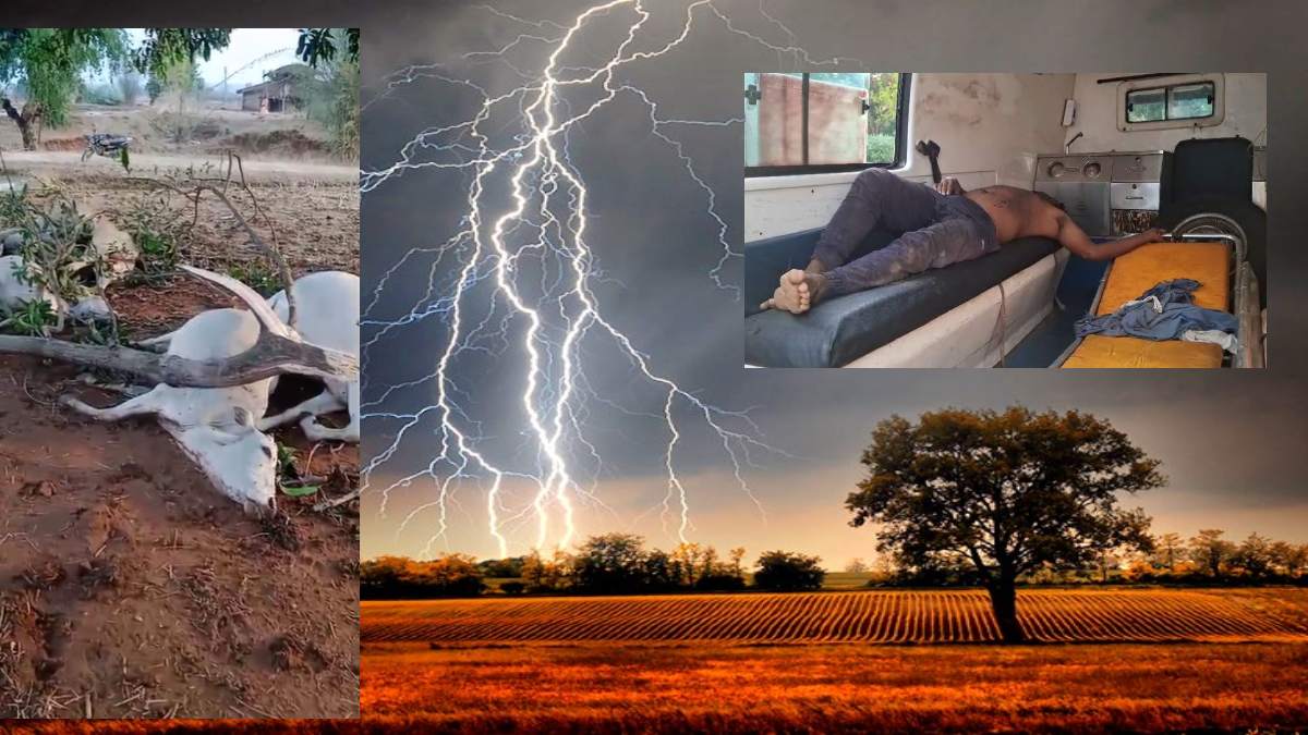 आसमान से बरसा कहर : आकाशीय बिजली की चपेट में आने से पिता-पुत्र समेत तीन लोगों की मौत, कई मवेशियों की भी गई जान