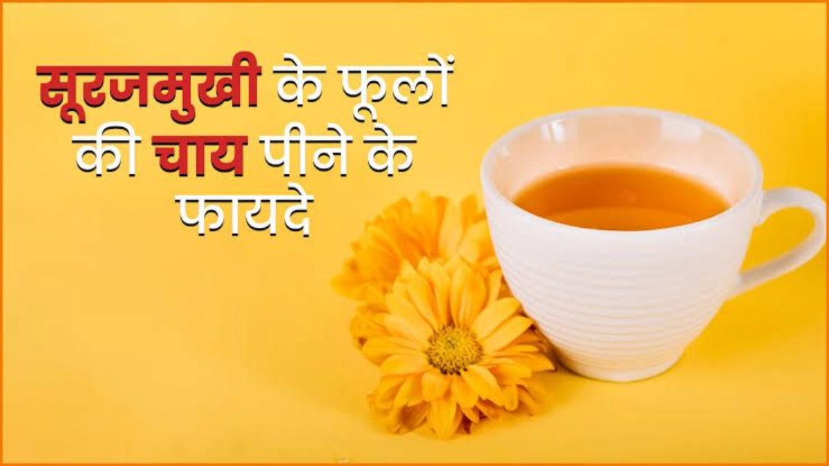 अगर आप भी हैं चाय लवर, तो एक बार जरूर Try करें सूरजमुखी की चाय, होंगे ये फायदे …