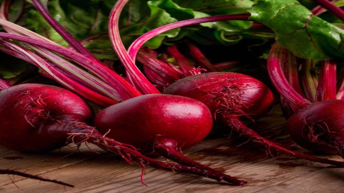 Benefit of Beetroot : कच्चा चुकंदर खाने के होते हैं कई फायदे, लेकिन खाने का सही तरीका क्या ?