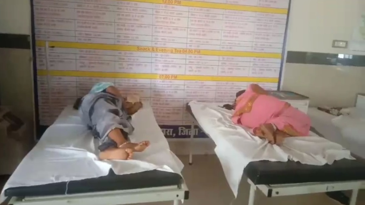 CG NEWS: मजदूर दिवस पर मजदूरों पर आई मुसीबत, निर्माण कार्य के बीच मधुमक्खियों ने किया हमला, 20 घायल…