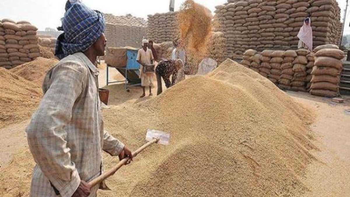 अन्नदाताओं के लिए जरूरी खबर: इस दिन गेहूं उपार्जन के लिए कर सकते हैं स्लॉट बुक, जानिए कैसे होगा आवेदन