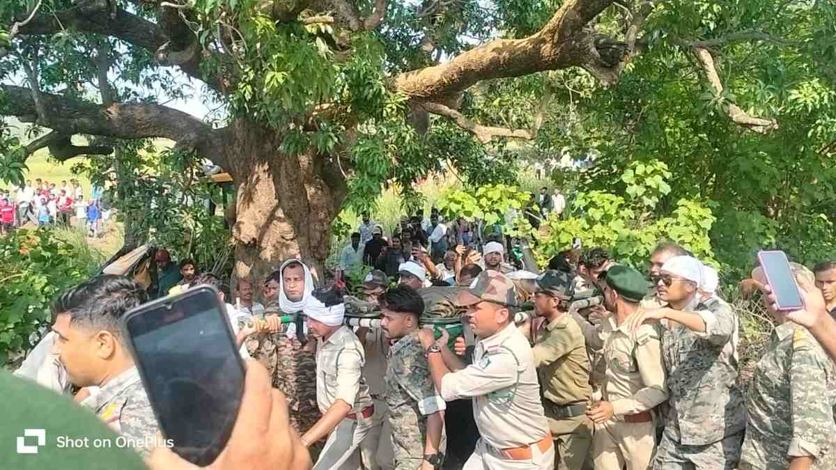 आदमखोर बाघ का आतंक खत्म: ट्रेंकुलाइज कर वन विभाग ने किया रेस्क्यू, दो दिन पहले किसान को बनाया था शिकार