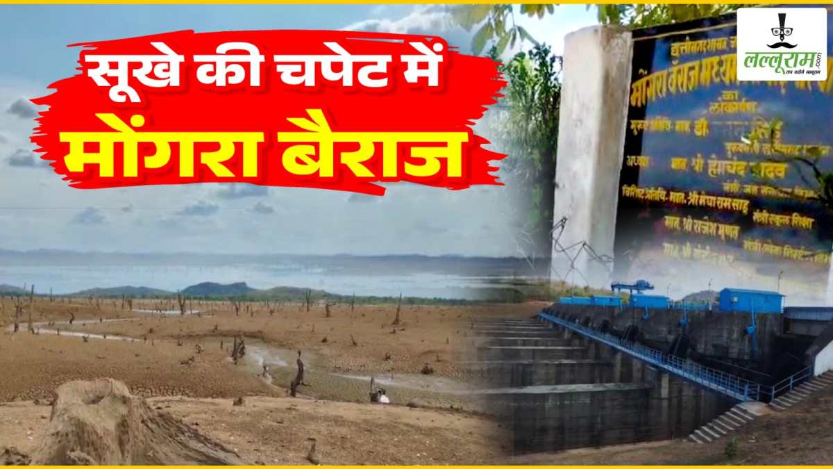दो दशकों में पहली बार सूखा मोंगरा बैराज : कई जिलों को पानी बांटने वाला बैराज खुद पानी को तरस रहा, समय पर बारिश नहीं हुई तो गहराएगा जल संकट