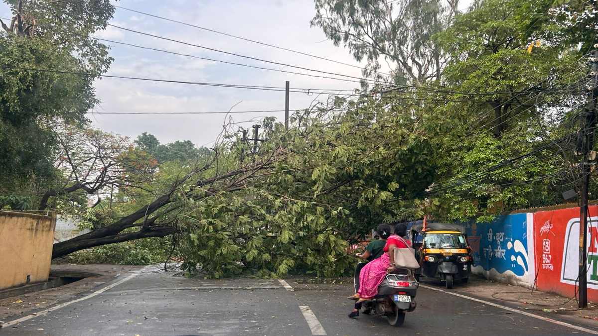 छत्तीसगढ़ में आंधी-बारिश की चेतावनी : मौसम विभाग ने जारी किया ऑरेंज और येलो अलर्ट, रायपुर में तेज हवा के साथ हुई बारिश से कई इलाकों में गिरे पेड़