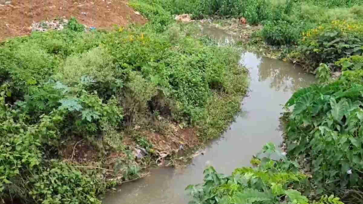 लगातार गिर रहा जल स्तर : हर साल डेढ़ मीटर तक की गिरावट, शहर भी जल संकट से जूझ रहा, नगर निगम ने वाटर हार्वेस्टिंग सिस्टम को किया अनिवार्य, नहीं लगाने पर 50 हजार का जुर्माना