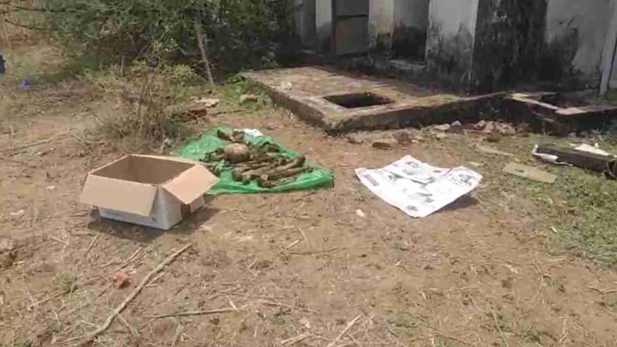 CG News : गोदाम के पीछे सेप्टिक टैंक में मिला 5 साल पुराना नरकंकाल, DNA टेस्ट के लिए भेजा गया रायपुर