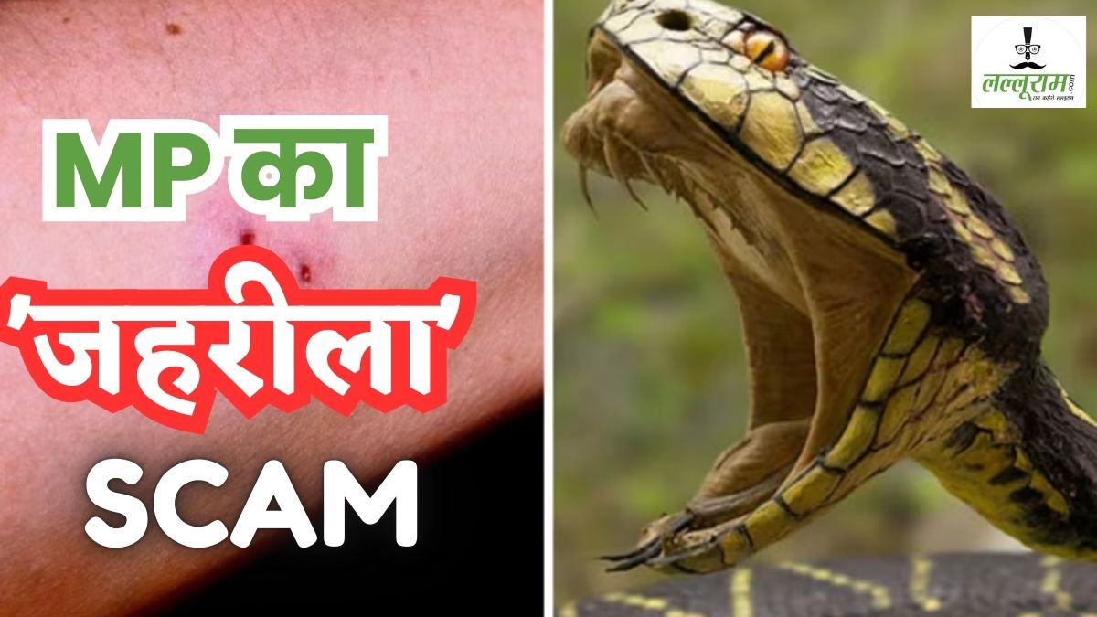 MP में सांपों के नाम पर घोटाला: 279 जिंदा लोगों को ‘स्नैक’ से कटवाकर फाइलों में मारा, इतने करोड़ के गबन का हुआ खुलासा