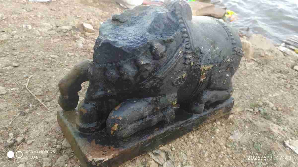 तालाब में अचानक प्रकट हुए नंदी! 10वीं शताब्दी की प्रतिमा मिलने से हैरान हुए लोग, अध्ययन में जुटा पुरातत्व विभाग