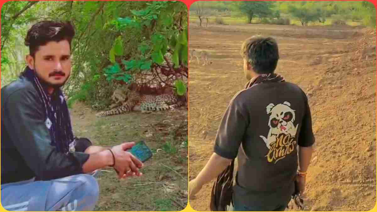 डर, खौफ…वो क्या चीज है! खूंखार चीतों के पास बैठ युवक ने बनवाई रील, Video देख आंखों पर नहीं होगा यकीन