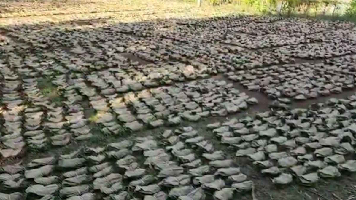 तेन्दूपत्ता प्रोत्साहन राशि वितरण में भ्रष्टाचार, 11 वनोपज समिति प्रबंधक निलंबित, संचालक मंडल को किया भंग