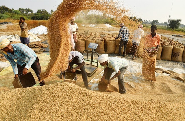 छत्तीसगढ़ में अब मिलर्स को मिलिंग के बदले पैसे नहीं, धान देंगे ?