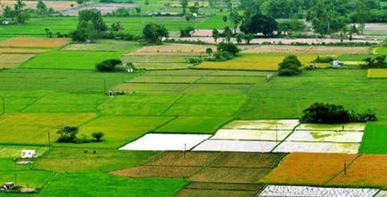 ओडिशा में नई भूमि बिक्री नीति: अब हिस्से में बेच सकेंगे जमीन, जानें क्या बदला
