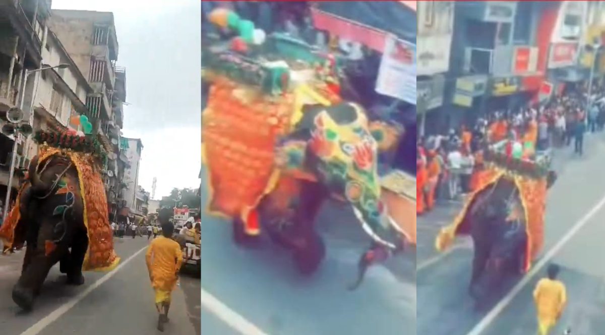 अहमदाबाद जगन्नाथ रथयात्रा में बेकाबू हाथी ने मचाया कोहराम, DJ की आवाज से भड़का, अफरातफरी में 4 लोग घायल, देखें वीडियो
