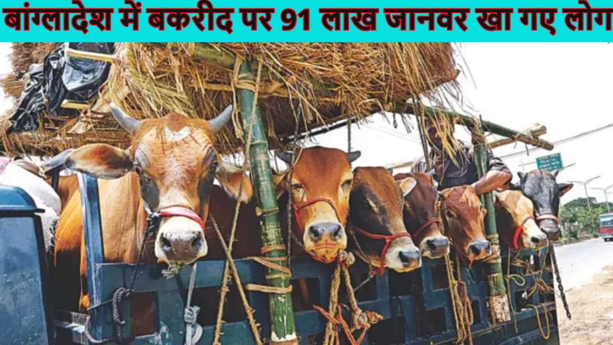 बकरीद पर 91 लाख जानवर खा गए बांग्लादेश के लोग, सबसे ज्यादा 47.5 लाख गायों की हुई कुर्बानी, 33 लाख पशु कटने के इंतजार में