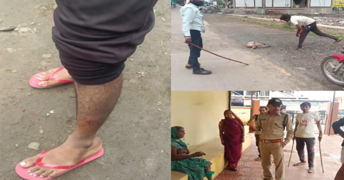 बड़वानी में पागल कुत्ते का आतंक: 3 घंटे में 8 को काटा, लोगों ने पीट-पीटकर मार डाला